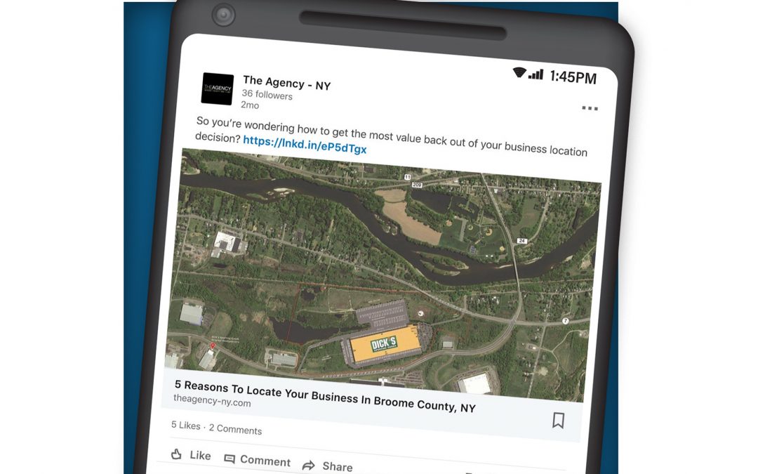 The Agency LinkedIn Ads