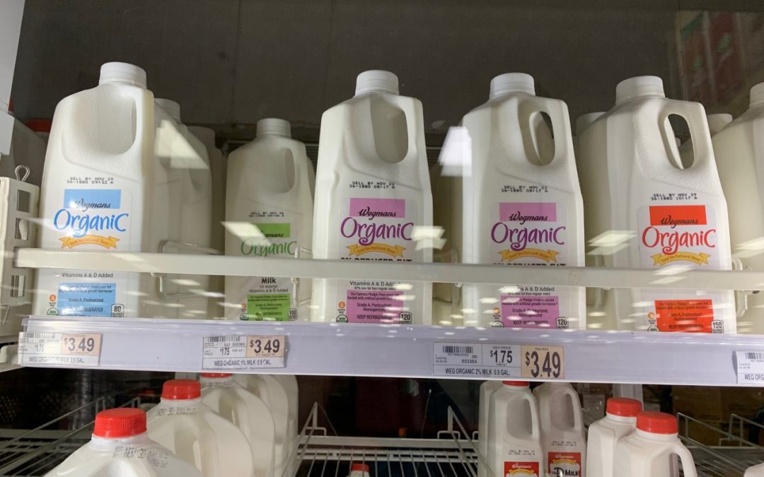 In a world with every kind of milk, be more than plain milk.